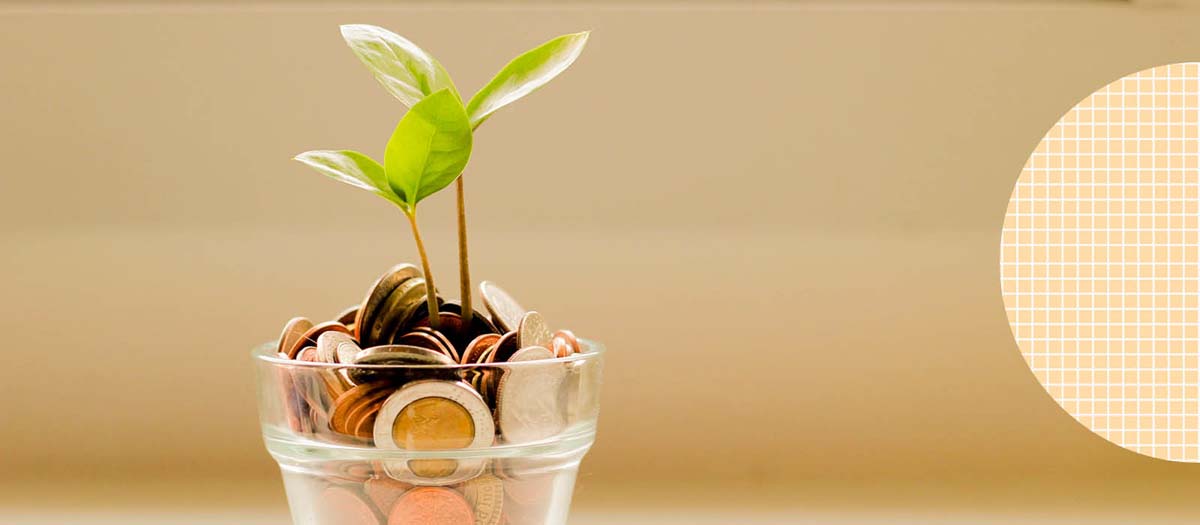 Coins in a jar with leaves growing out of it