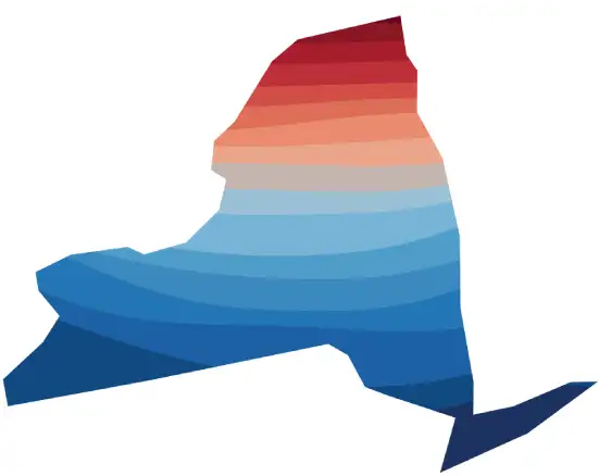 Transparent State New York webp